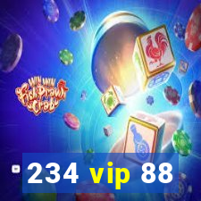 234 vip 88